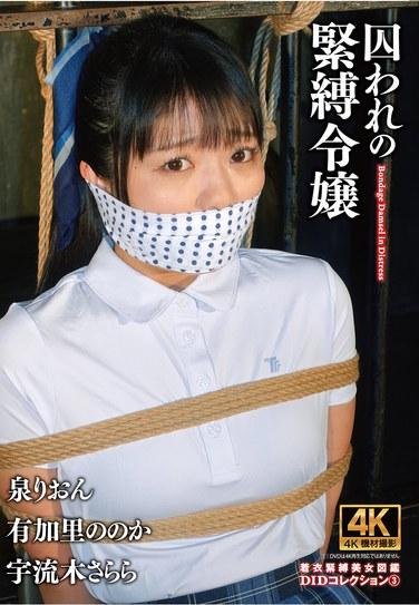 囚われの緊縛令嬢 DIDコレクション3