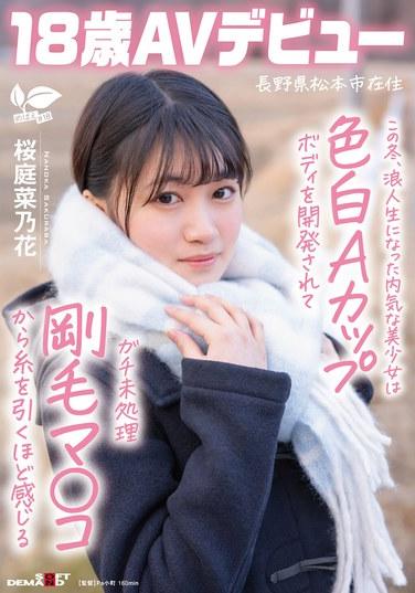 この冬、浪人生になった内気な美少女は色白Aカップボディを開発されてガチ未処理剛毛マ○コから糸を引くほど感じる 長野県松本市在住 桜庭菜乃花 18歳AVデビュー